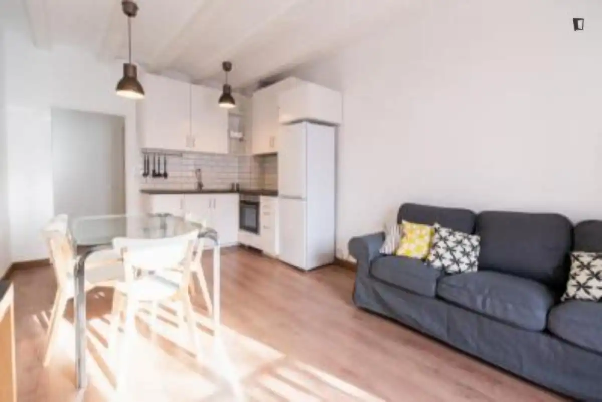 Apartments for rent in Barri Gòtic