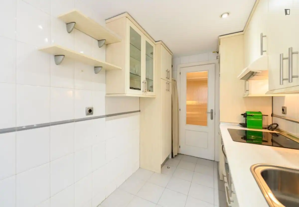 Kitchen of Apartments for rent in Madrid  with Air Conditioner, Heating and Furnished