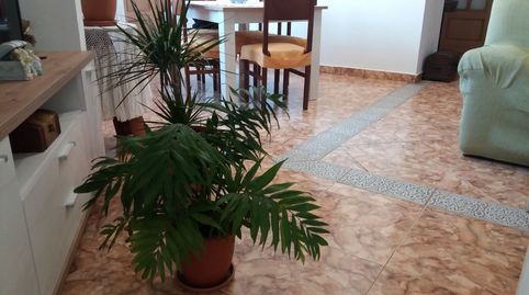 Foto 2 de Piso en venta en Molí de Vent - La Sauleda, Palafrugell