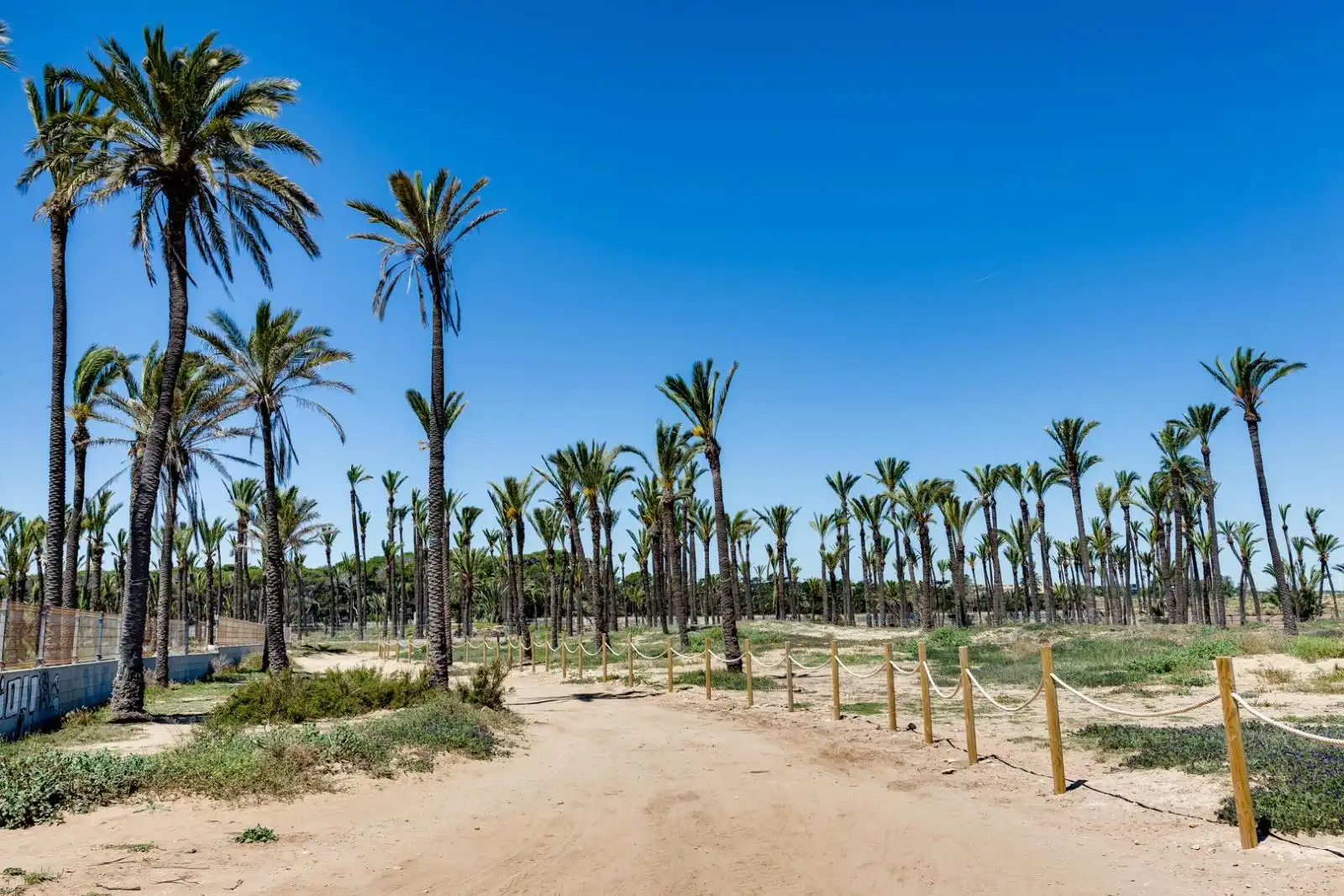 Apartamento con piscina en venta en Orihuela Costa, imagen 53