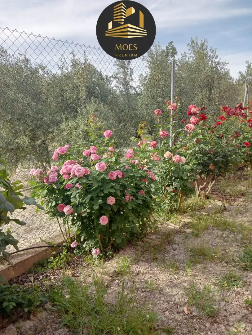 Villa zum Verkauf in Begíjar, imagen 5