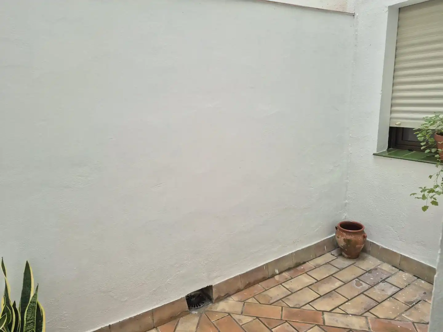 Pis de lloguer a Las Colonias