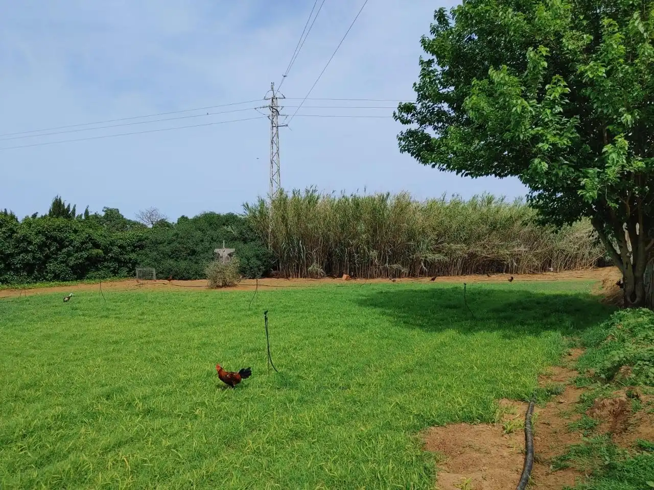 Land for sale in Chipiona