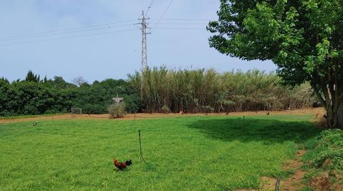 Photo 4 of Land for sale in Granadillos, Ventisqueros, Chipiona Norte, Chipiona