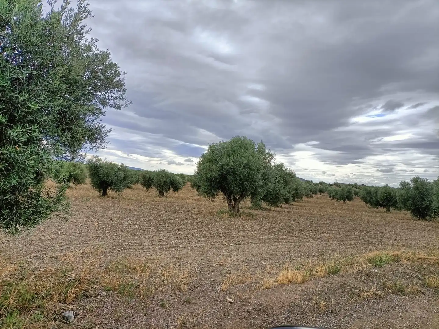 Terreno rustico in vendita a Chueca, imagen 2