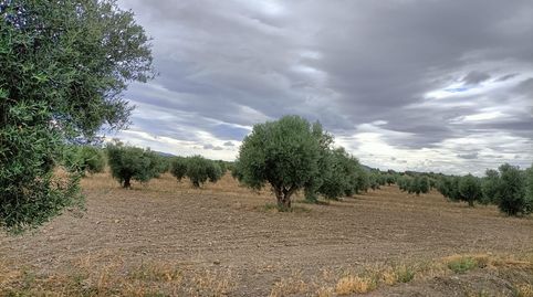 oferta de finca con agua , immagine 2