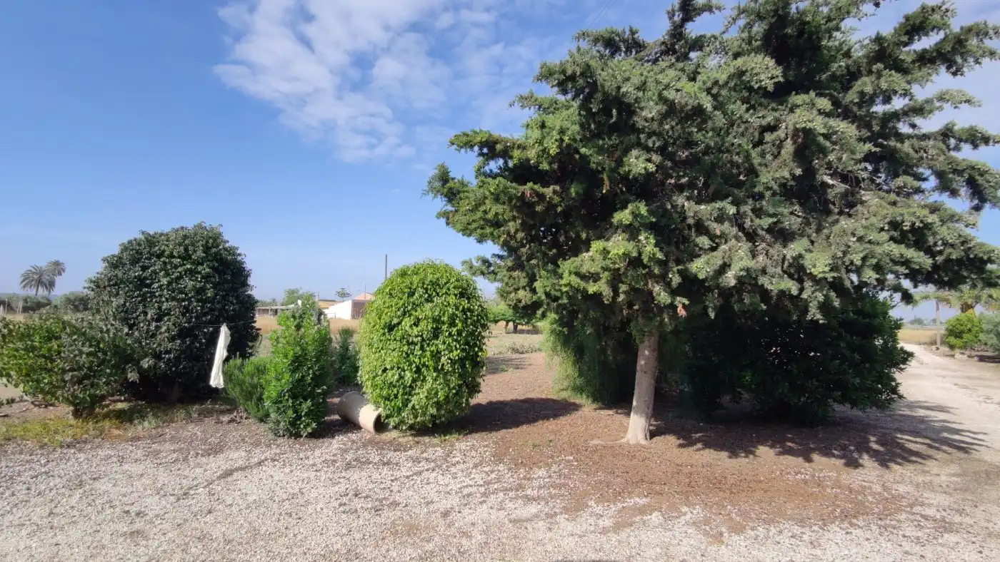Villa con giardino in vendita a La Foia - Daimés - Asprella, imagen 13