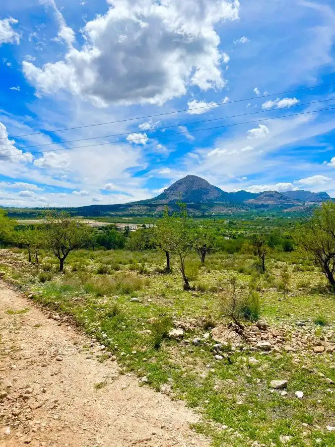 Terrenos y solares en venta en Vélez-Blanco, imagen 7