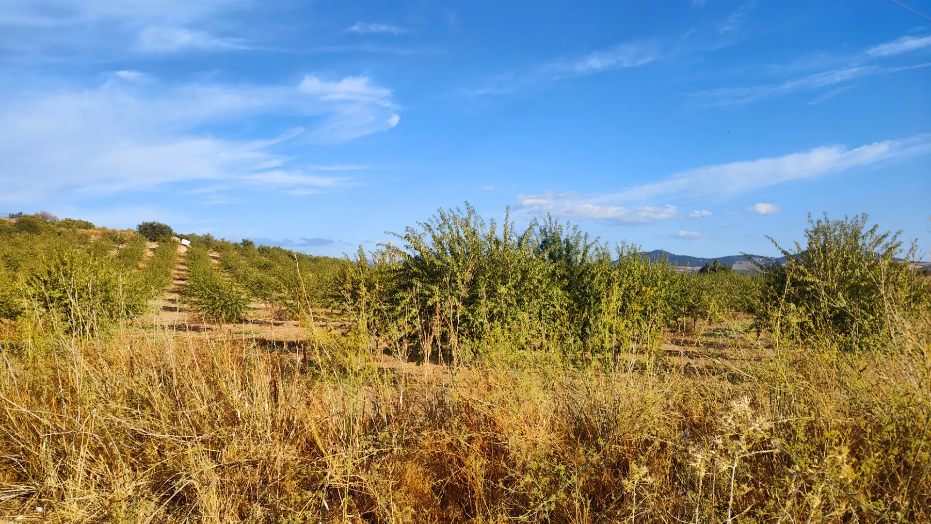 Rural land for sale in N/A, imagen 2