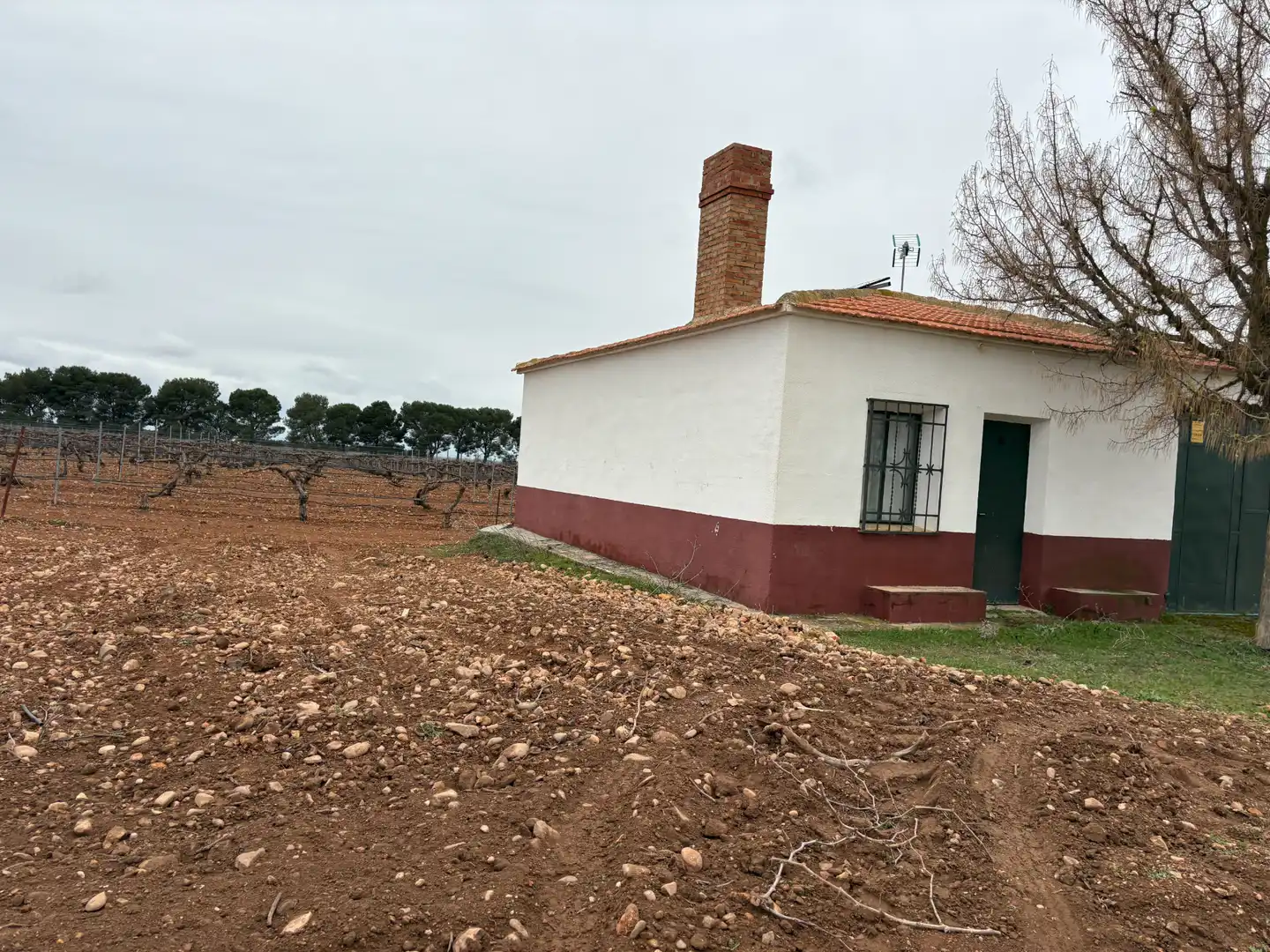 Terreno rústico en venta en Camino de Tomelloso a Villarrobledo 562, imagen 14
