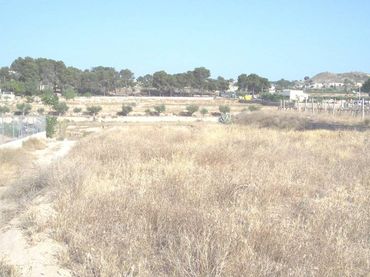 Terreno rustico in vendita a Aspe Centro