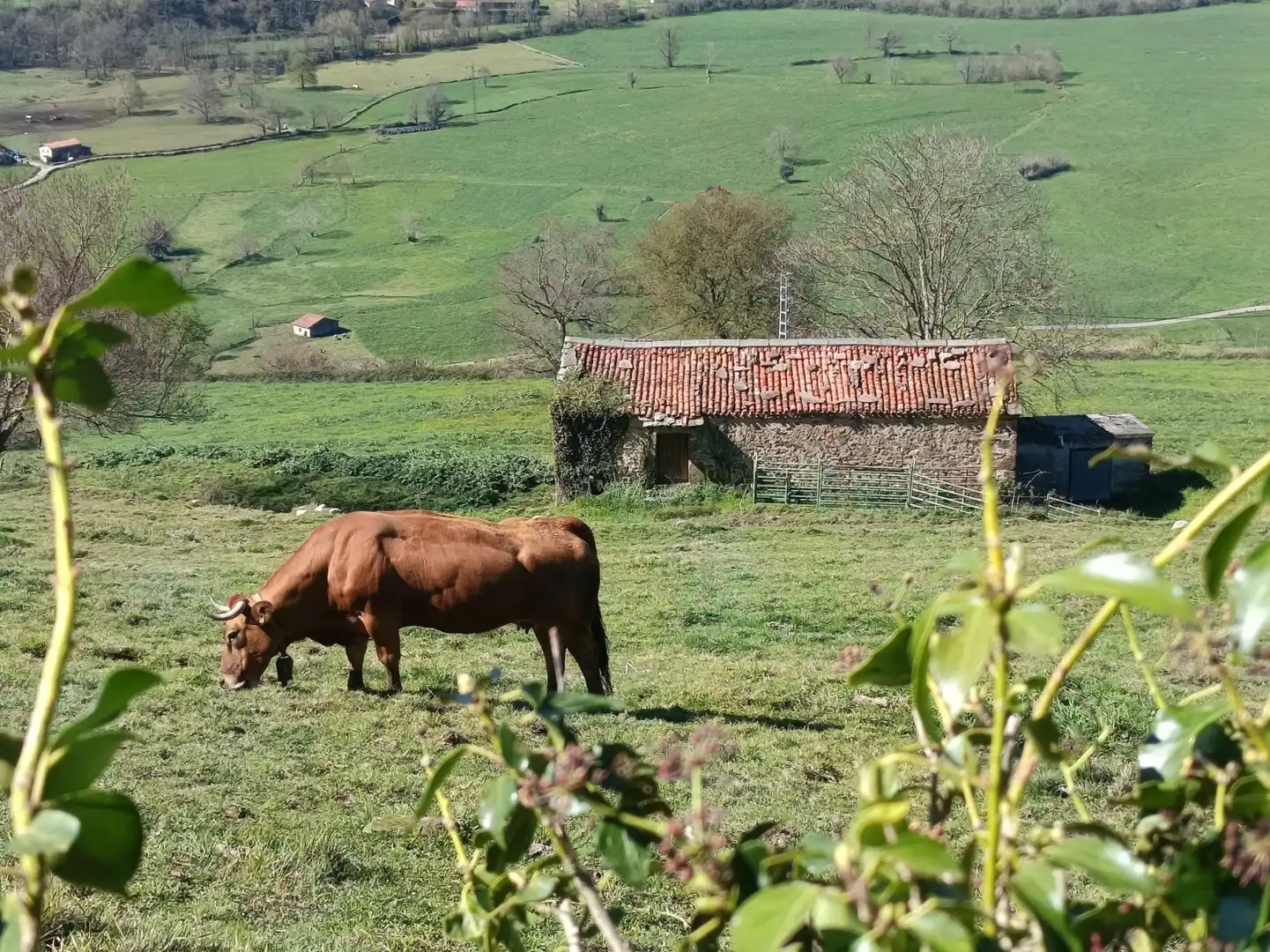 Exterior view of Land for sale in Villacarriedo