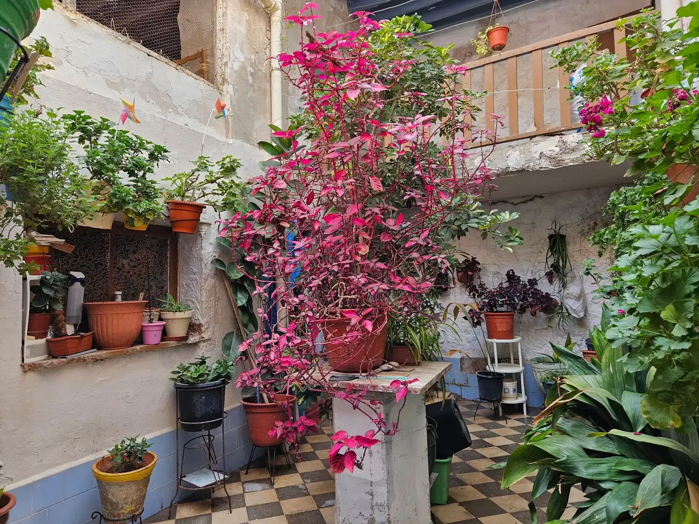 Jardín de Casa adosada en venta en Monóvar  / Monòver con Aire acondicionado, Calefacción y Jardín privado