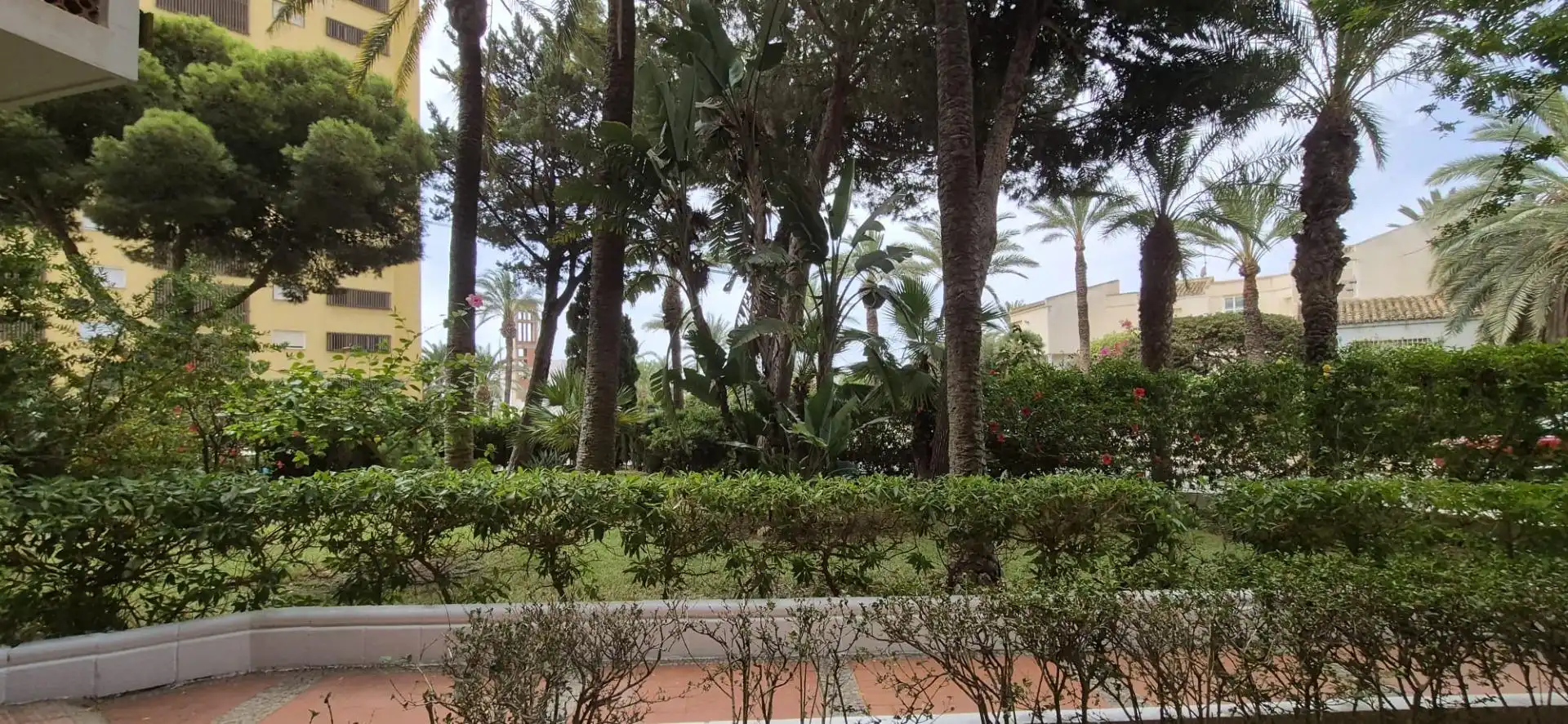 Jardín de Piso en venta en Roquetas de Mar con Terraza y Amueblado