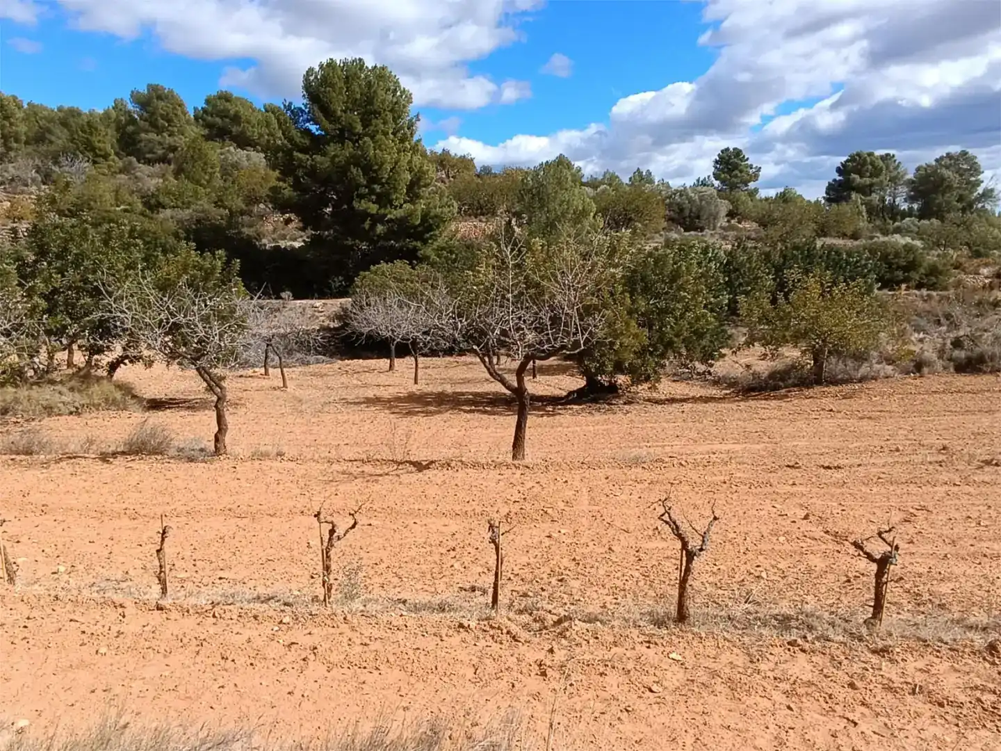 Land for sale in Useras /  Les Useres