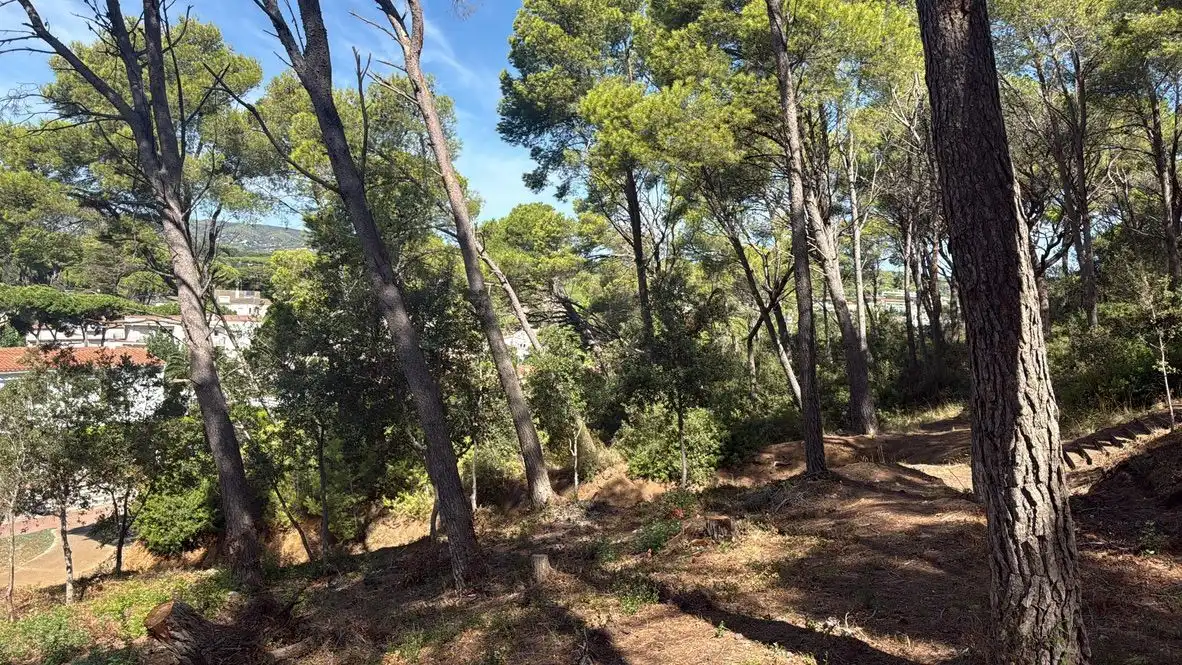 Lands and plots for sale in Sa Tamardia 19, imagen 17