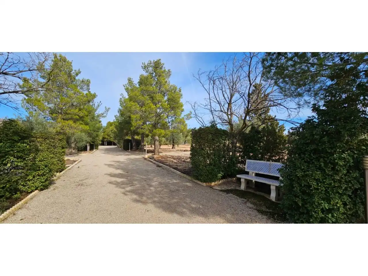 Chalet con piscina en venta en Jumilla, imagen 65