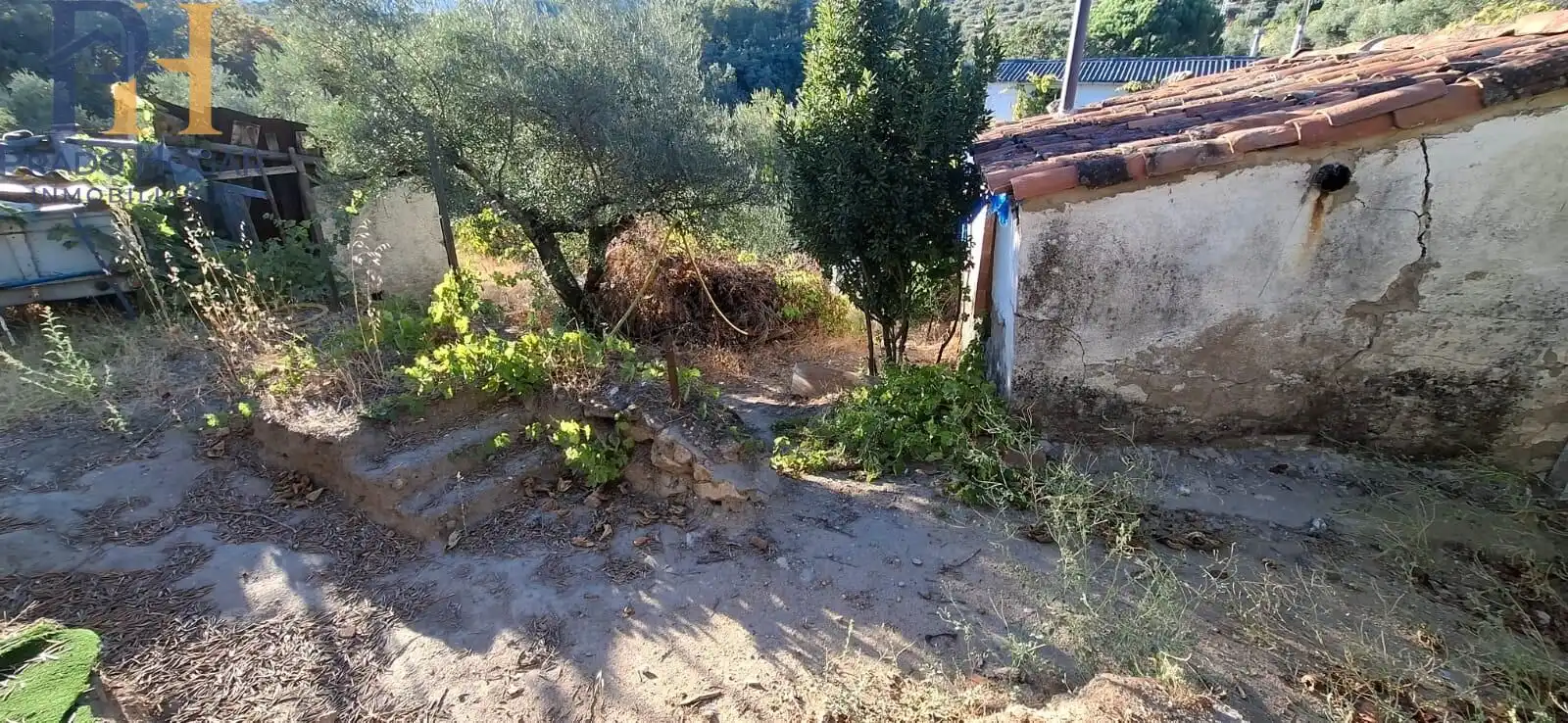 Maison à vendre à Arenas de San Pedro, imagen 14
