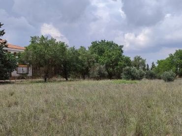 Terreny residencial en venda a Terreno Diseminados