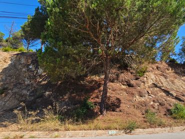 Residential land for sale in Avinguda de la Senyera 27