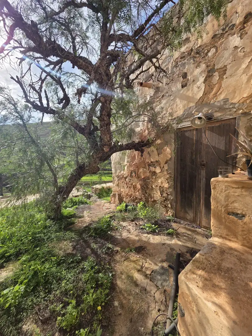 Jardín de Finca rústica en venta en Antigua con Jardín privado