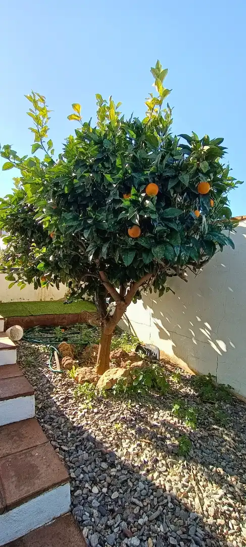 Xalet amb piscina en venda a Capellanía - Retamar, imagen 26