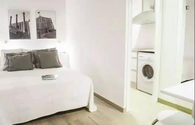 Apartamento en Alquiler en Sant Pere, Sta. Caterina i la Ribera