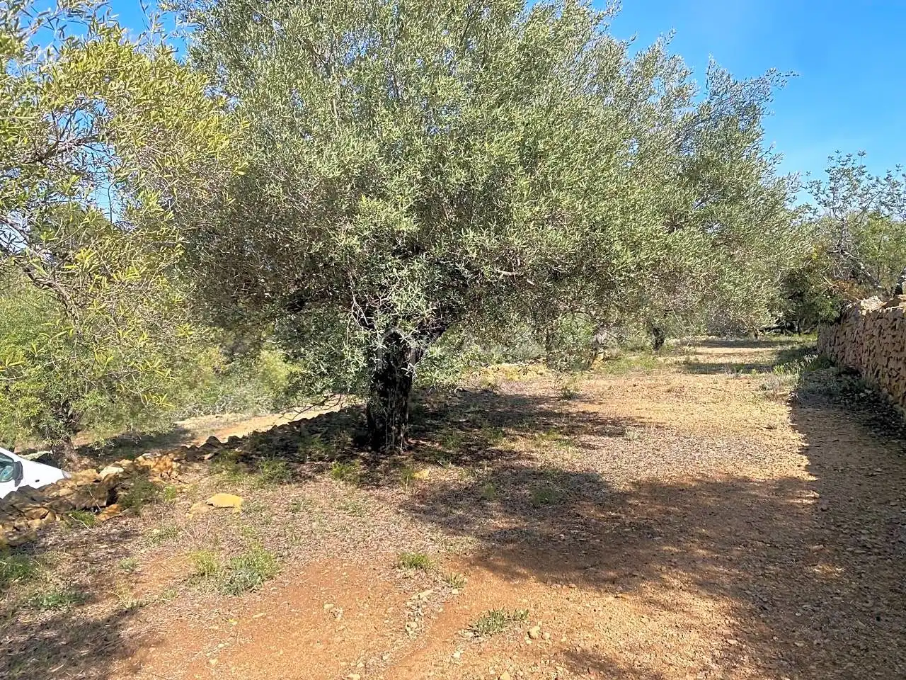 Terreno rustico in vendita a Puig Moltó, imagen 16