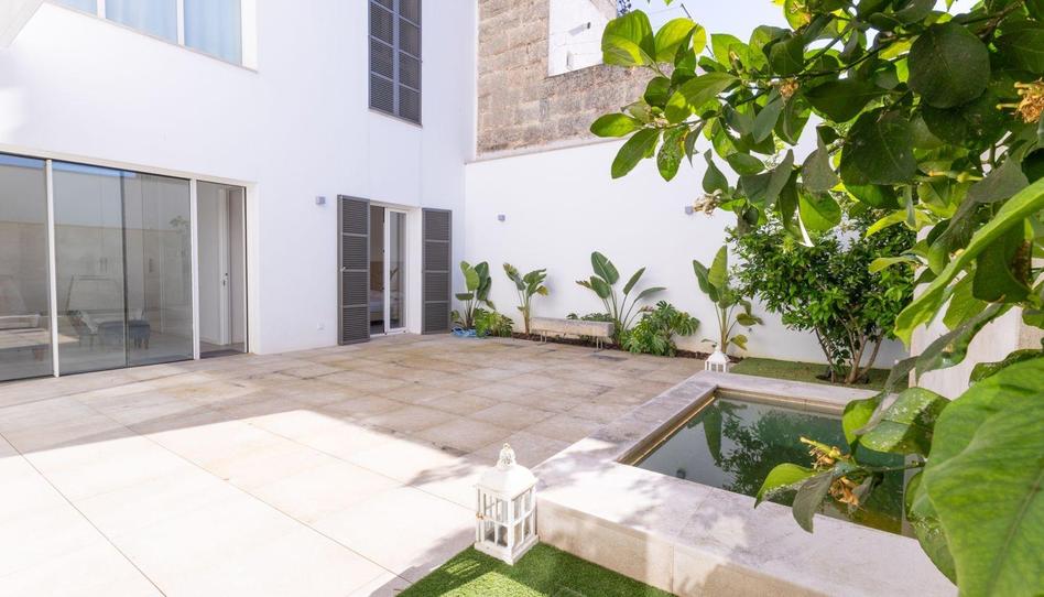 Photo 1 of Planta baja to rent in Manacor Centre, Illes Balears