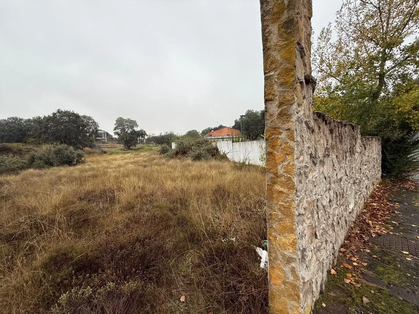 Wohnbaugrundstück zum Verkauf in Calle Drago 46, imagen 12