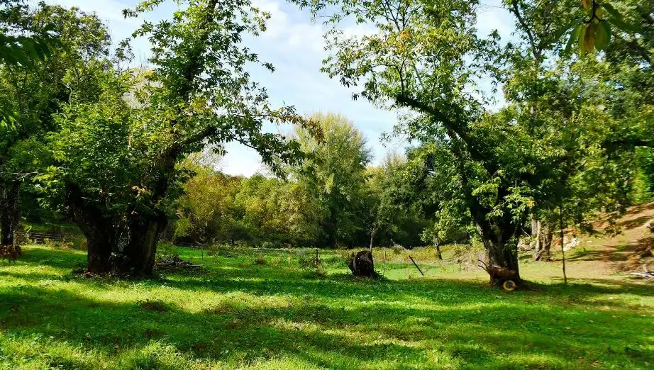 Terreni e lotti in vendita a Galaroza, imagen 4