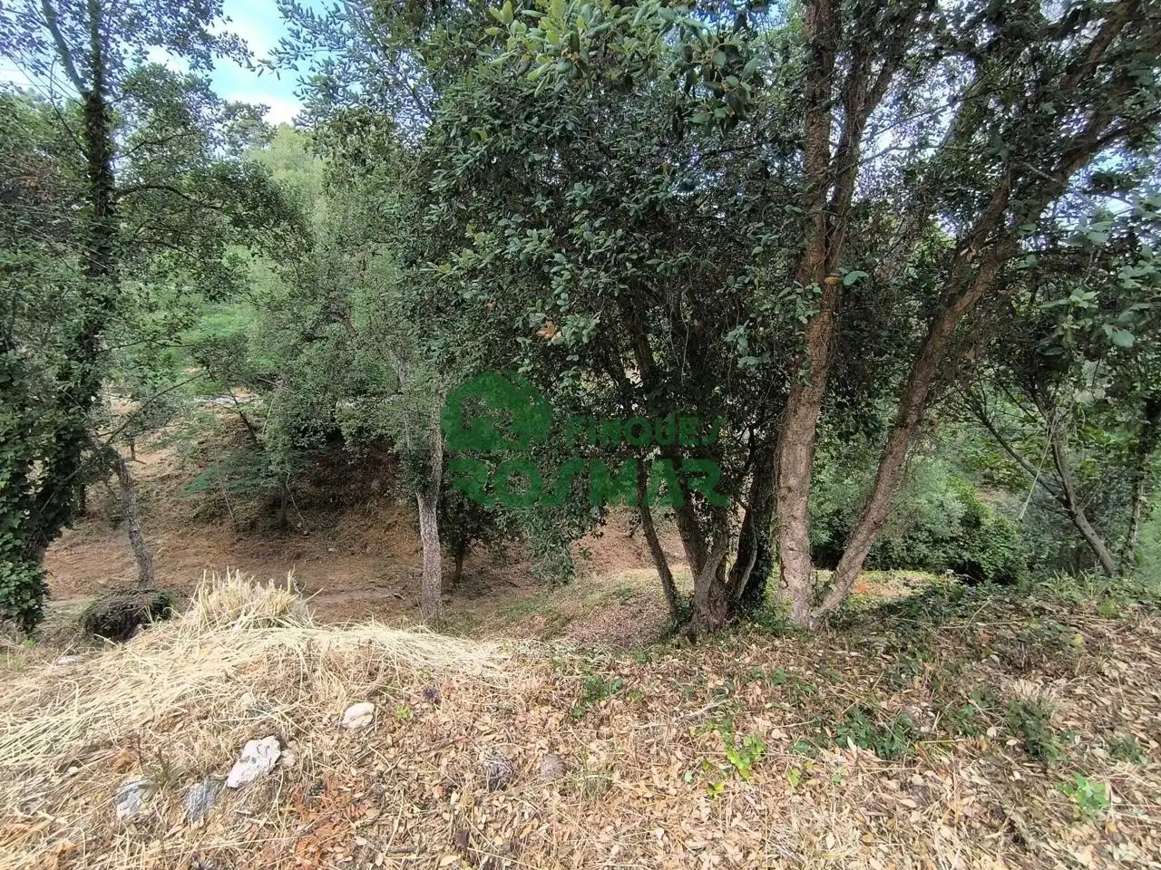 Terrenos y solares en venta en Lloret Blau - La Creu de Lloret, imagen 10