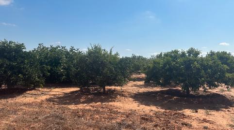 Foto 4 de Finca rústica en venda a Pasaje Los Segados, La Magdalena - Molinos Marfagones, Murcia