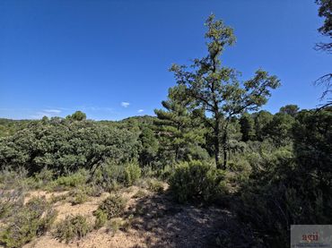 Terreno residencial en venta en Trillo