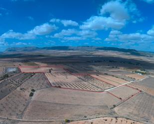 Land for sale in Yecla