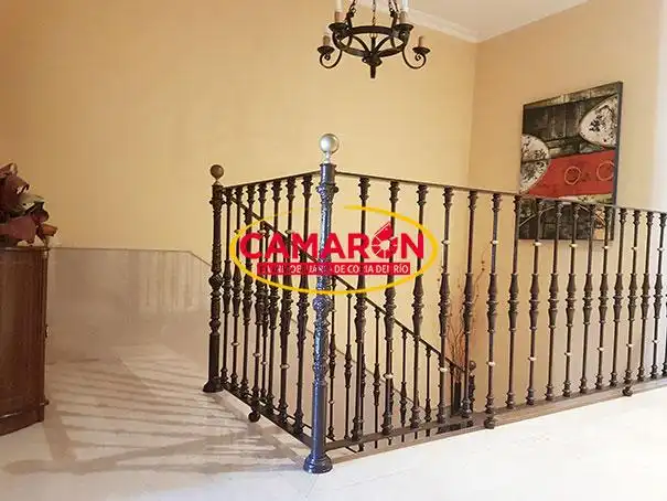 Jardí de Casa adosada en venda en Coria del Río
