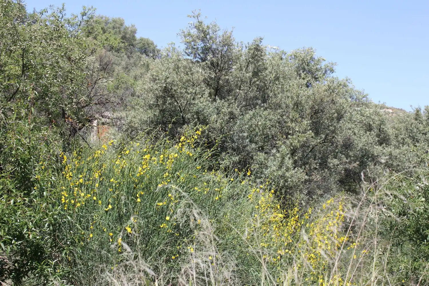 Terreni e lotti in vendita a andalucia, imagen 19