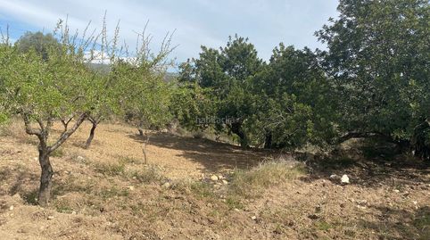 Finca rústica cercana a les useres, immagine 4