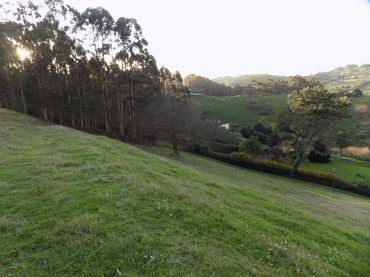 Terreno rustico in vendita a Rural