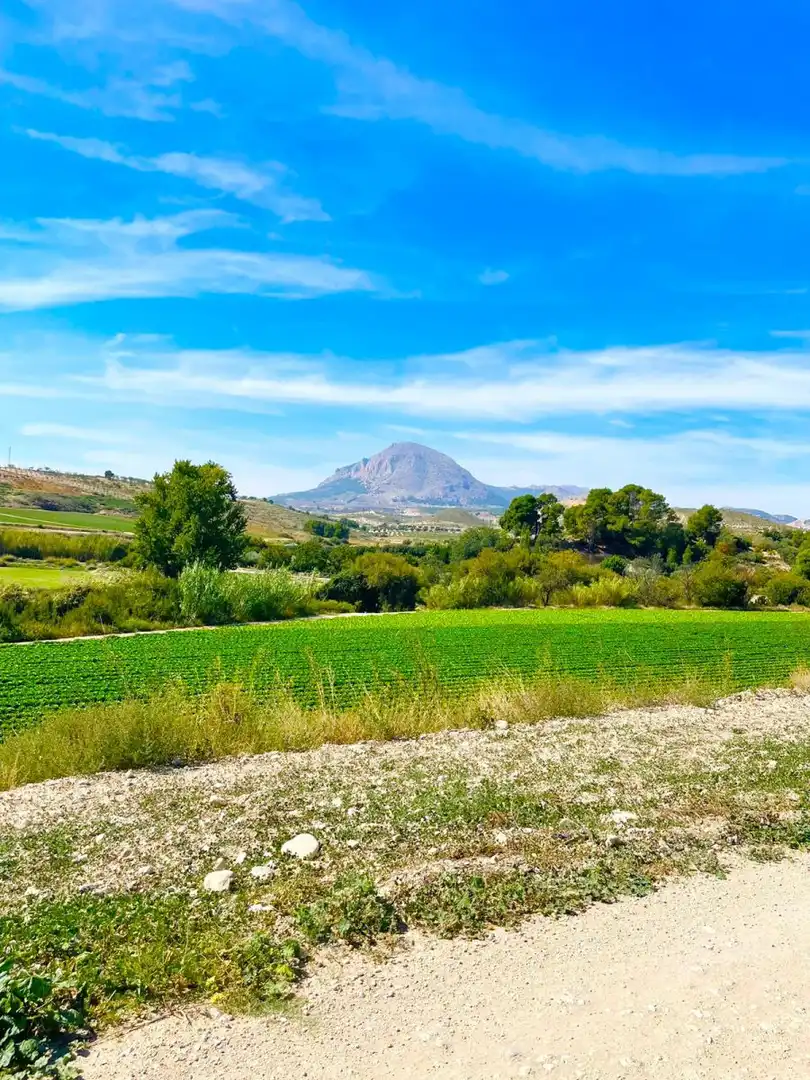 Terrenos y solares en venta en Vélez-Blanco, imagen 3