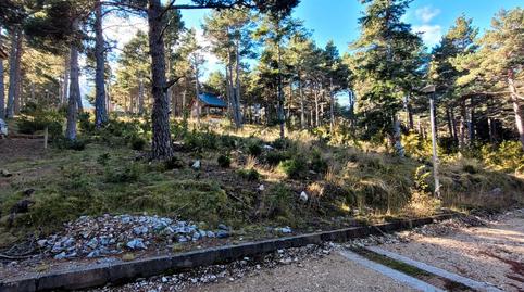 Foto 5 de Residencial en venda a Carrer de la Rasa del Sucre, 5, La Coma i la Pedra, Lleida