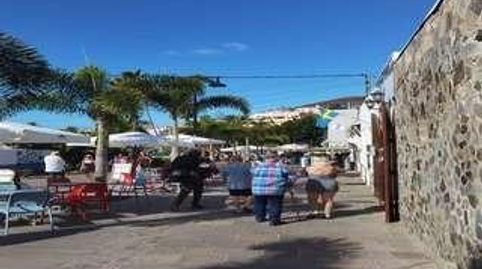 Foto 4 von Geschaftsraum zur ubertragung in Avenida Juan Alfonso Batista, 8, Los Cristianos, Arona