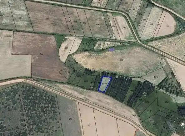 Terreno en venta en Almanza