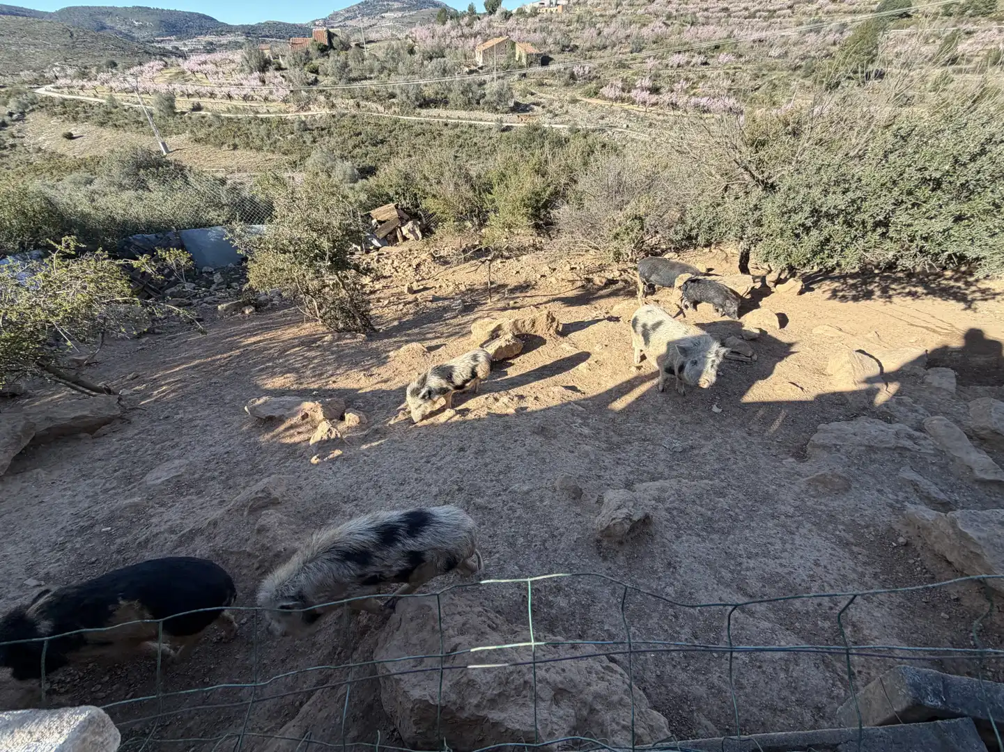Jardín de Edificio en venta en Vilar de Canes