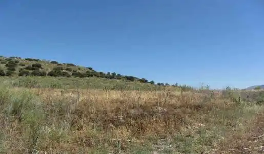 Terreni e lotti in vendita a Atarfe, imagen 3
