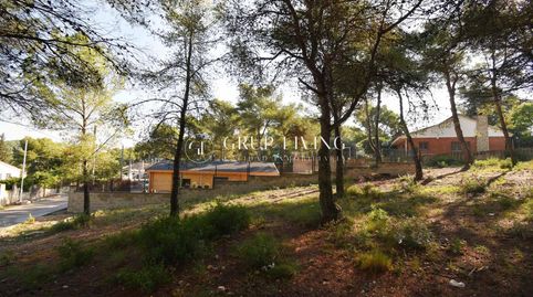 TERRENO PLANO EN LES PALMERES, CANYELLES, immagine 4