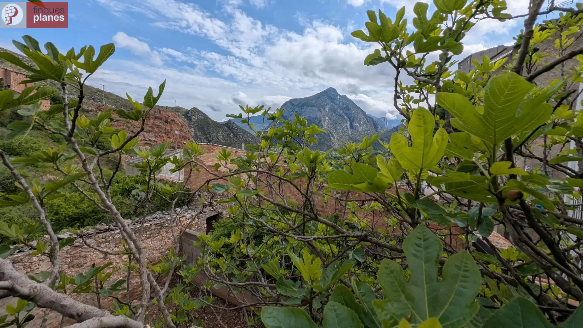Exterior view of Houses for sale in Coll de Nargó  with Private garden