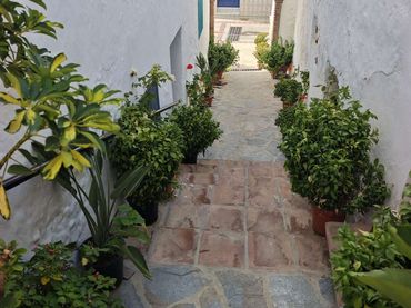 Terreni e lotti in vendita a Canillas de Albaida