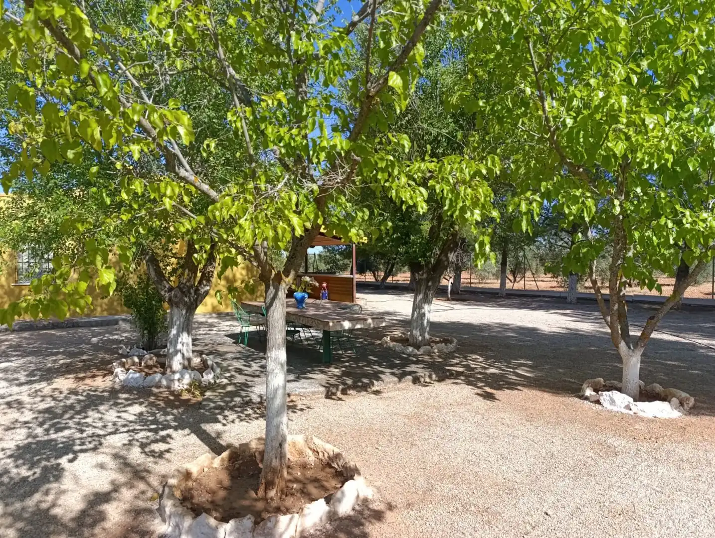 Casa rústica en venda a Valdepeñas, imagen 30