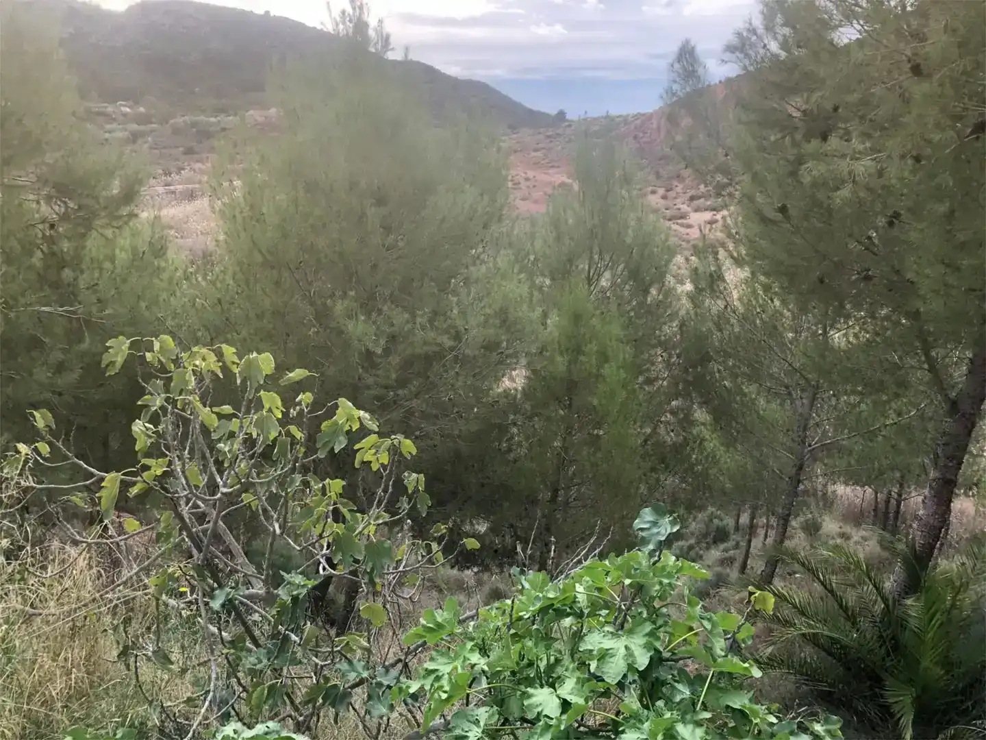 Piso en venta en Petrer con Jardín privado, Piscina y Balcón